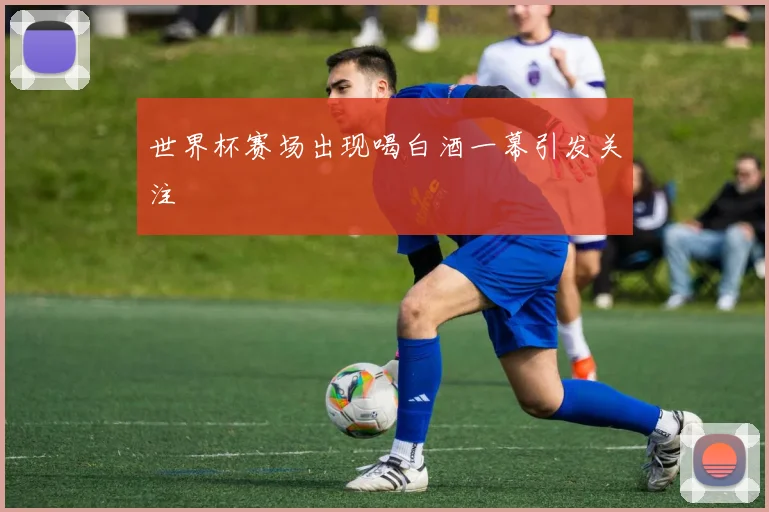 世界杯赛场出现喝白酒一幕引发关注