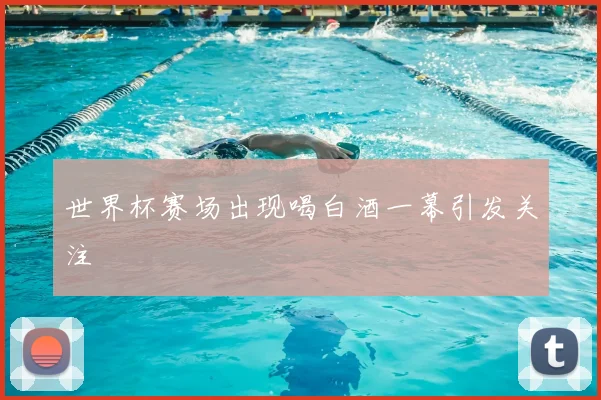 世界杯赛场出现喝白酒一幕引发关注