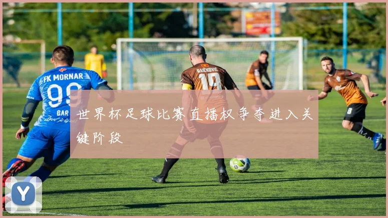 世界杯足球比赛直播权争夺进入关键阶段