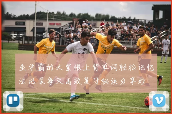 坐学霸的大紫根上背单词轻松记忆法记录每天高效复习秘诀分享妙