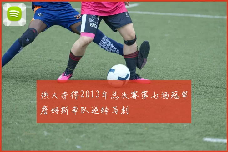 热火夺得2013年总决赛第七场冠军詹姆斯率队逆转马刺